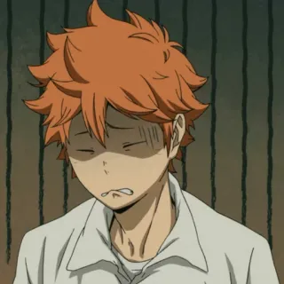 🥂 Shoyo Hinata Haikyuu!! Anime, Haikyuu, Shoyo Hinata, Hinata, Chateado, Desenho animado, Vôlei telegram sticker