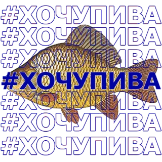 🐠 #ХОЧУПИВА poisson, nourriture, bière, texte, cyrillique whatsapp sticker