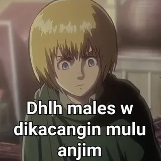 ☺️ Armin Arlert Attack on Titan Dhlh males w dikacangin mulu anjim Anime, Armin Arlert, Ataque a los Titanes, Meme, Divertido, Dibujos animados telegram sticker