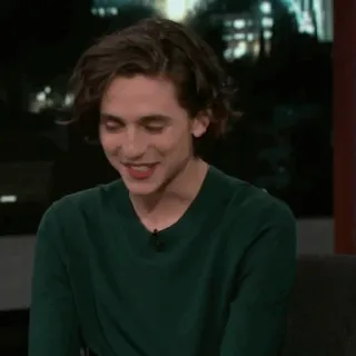 💎 Timothée Chalamet diễn viên, người nổi tiếng, đàn ông, người, chân dung telegram sticker