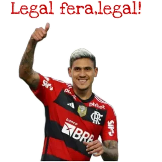 👍 Legal fera, legal! soccer player, thumbs up, sports, celebration, positive, happy telegram sticker