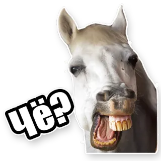 😕 Чё? caballo, animal, pregunta, gracioso, meme whatsapp sticker