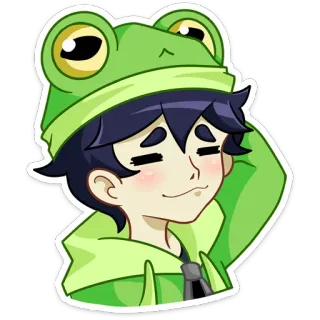 😊 动漫, 青蛙, 连帽衫, 可爱, 角色, 卡通, 男孩 whatsapp sticker