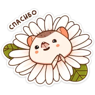 🌼 СПАСИБО ขอบคุณ, ดอกไม้, น่ารัก, สัตว์, สติกเกอร์, รัสเซีย telegram sticker