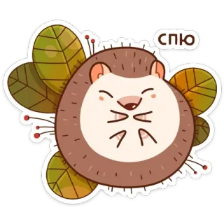 Имбирчик -> @TgSticker telegram stickers