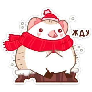 ⏳ ЖДУ riccio, cartone animato, inverno, sciarpa, carino, attesa telegram sticker