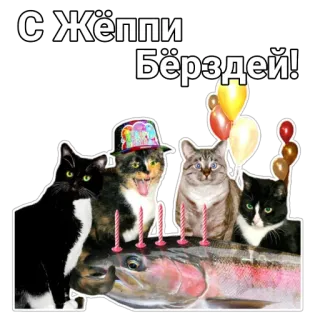🥳 С Жёппи Бё̈рздей! cats, birthday, happy birthday, celebration telegram sticker
