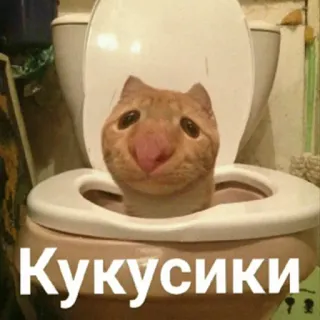 👋 Кукусики 고양이, 화장실, 웃긴, 밈 telegram sticker