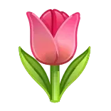 🌷