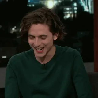 💎 Timothée Chalamet Diễn viên, Người nổi tiếng, Đàn ông, Chân dung, Timothée Chalamet, Áo len xanh lá cây telegram sticker