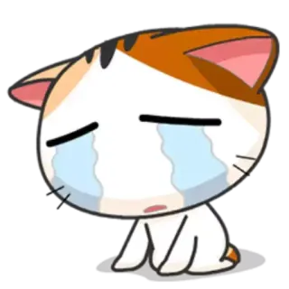 😭 猫, 悲しい, 泣く, かわいい, 涙, 可愛い telegram sticker