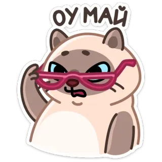 😳 ОУМАЙ кот, очки, смешной, милый, животное telegram sticker
