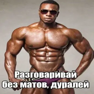 🥵 Разговаривай без матов, дуралей whatsapp sticker