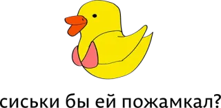 ❤ duck, bikini, cartoon, animal, yellow, bird telegram sticker