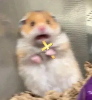 😱 hamster, animal, scared, cross, religion telegram sticker