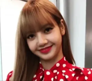 🌸 Lisa kpop, Lisa, chanteuse, idole, coréen telegram sticker