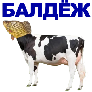 🐠 animal, vache, poisson, hybride whatsapp sticker