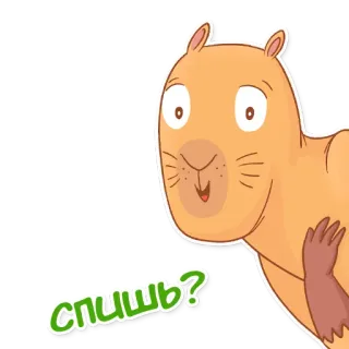 😜 спишь? Kapibara, Binatang, Kartun, Lucu, Pertanyaan, Tidur, Tidur telegram sticker