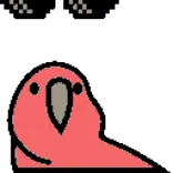 🦜 vogel, papegaai, pixel art, deal with it, zonnebril telegram sticker