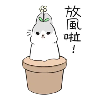 😊 放鬆啦! lindo, conejo, flor, relajación, kawaii, planta telegram sticker