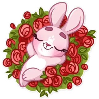 🌹 rabbit, cute, flowers, bunny, pink telegram sticker
