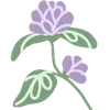 🌸