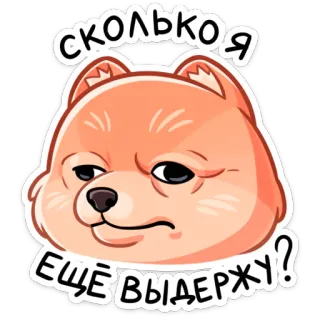 🤨 СКОЛЬКО Я ЕЩЁ ВЫДЕРЖУ? 강아지, 밈, 귀여운, 스티커 telegram sticker
