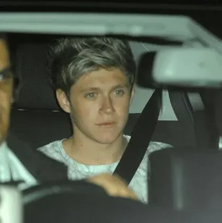 ✨ Niall Horan คนดัง, นักร้อง, ไนออล ฮอแรน, วันไดเรกชัน, ผู้ชาย, บุคคล, ภาพเหมือน telegram sticker