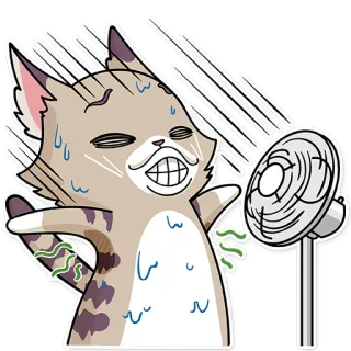 ☀ chat, transpiration, chaud, ventilateur, épuisé, dessin animé, autocollant telegram sticker
