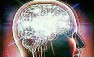 Brain Meme telegram stickers