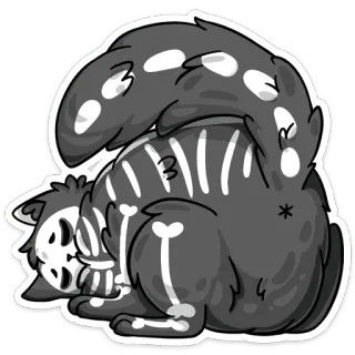 😴 gato, esqueleto, lindo, animal, halloween, huesos whatsapp sticker