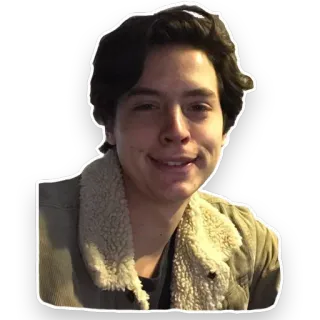 😁 hombre, persona, retrato, actor, celebridad, sonrisa telegram sticker