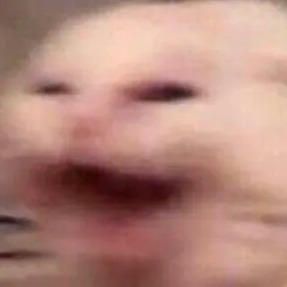 😮 meme, hamster, animal, funny, rodent telegram sticker