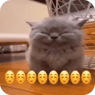 🙂 kucing, anak kucing, imut, hewan, bahagia, emoji, senyum telegram sticker