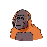 🤩 Orangutan, Binatang, Kera, Stiker, Kartun whatsapp sticker