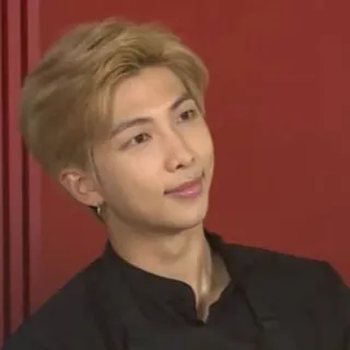 🍁 RM RM, BTS, K-pop, penyanyi, musisi whatsapp sticker