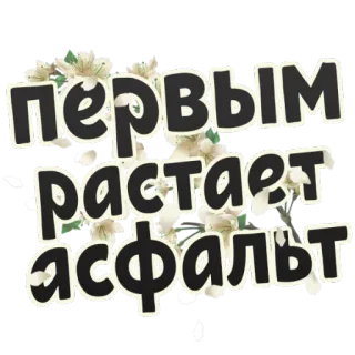 😱 Первым растает асфальт ロシア語, テキスト, 花 telegram sticker