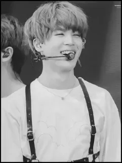➖ Jimin kpop, jimin, bts, cantante, idol telegram sticker