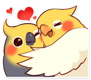 ❤️ chim, vẹt mào, tình yêu, dễ thương, động vật, thú cưng telegram sticker