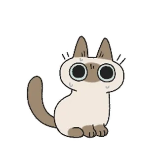 🫠 chat, autocollant, mignon, animal, dessin animé whatsapp sticker