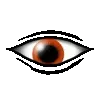 👁