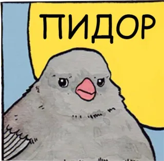 👨‍❤️‍👨 ПИДОР 새, 불쾌한, 모욕 telegram sticker