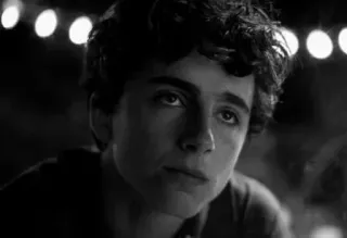 🕳 Timothée Chalamet attore, ritratto, bianco e nero, film, celebrità telegram sticker