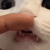 😃