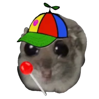 🧢 햄스터, 롤리팝, 귀여운, 만화, 동물, 모자 whatsapp sticker