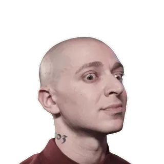 😱 chauve, personne, sticker, portrait, visage whatsapp sticker