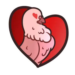❤️ coração, amor, pássaro, pombo, dia dos namorados, romance telegram sticker