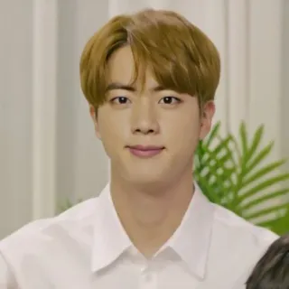 🐹 Jin k-pop, sänger, bts, musik, idol, porträt telegram sticker