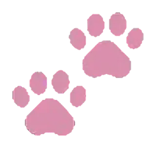 🐾