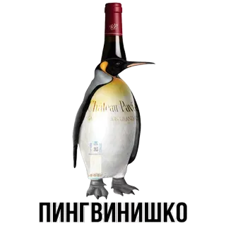 🍾 ПИНГВИНишко penguin, wine, animal, humor, funny whatsapp sticker